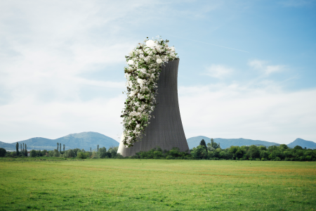 Phytoremediation: The Potential of Plants for Environmental Cleanup