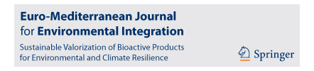 Springer Nature Link
