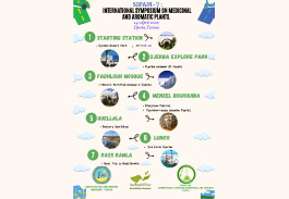 Djerba : Tour de l'île d'une journée